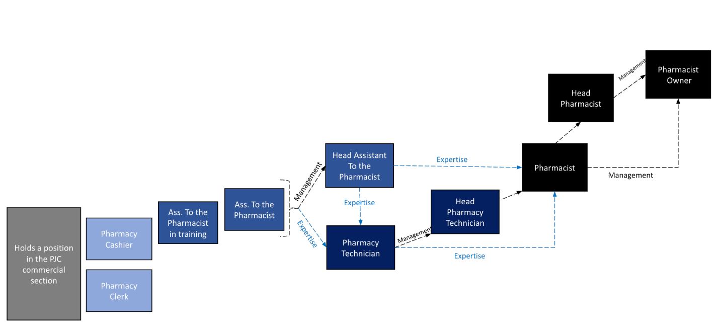 Career Development Diagram